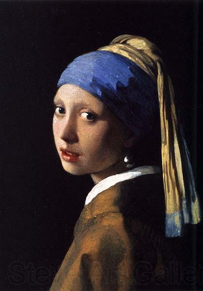 Johannes Vermeer Girl with a Pearl Earring, France oil painting art